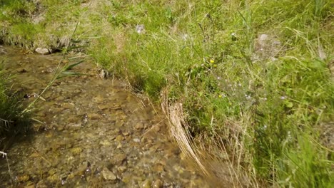 4k-Cerca-De-Vuelo-De-Drones-Sobre-Un-Arroyo-En-Suiza,-Altos-Alpes