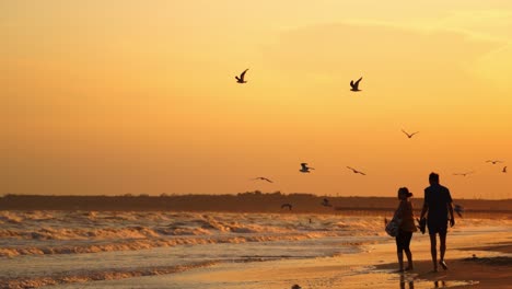 wavy sea at sunset. people walking near the sea in the evening. seagulls flying over the seashore in summer.