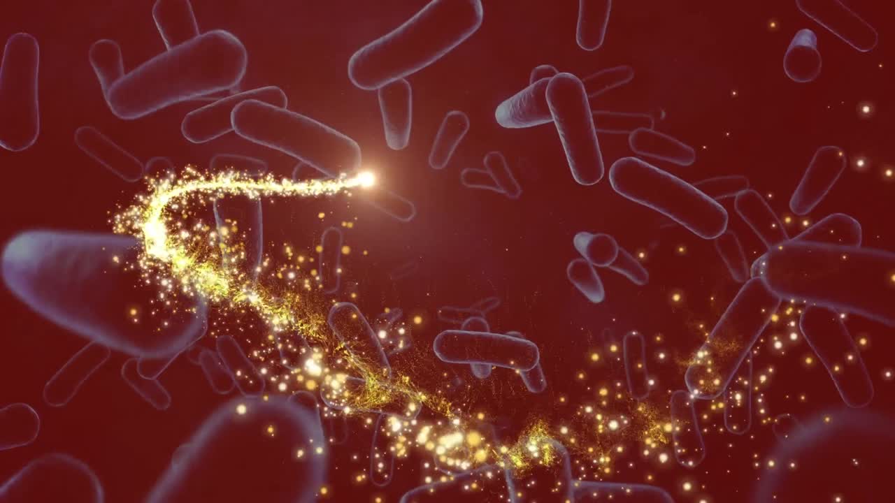 ⁇ 은 배경 위에서 움직이는 세포의 애니메이션