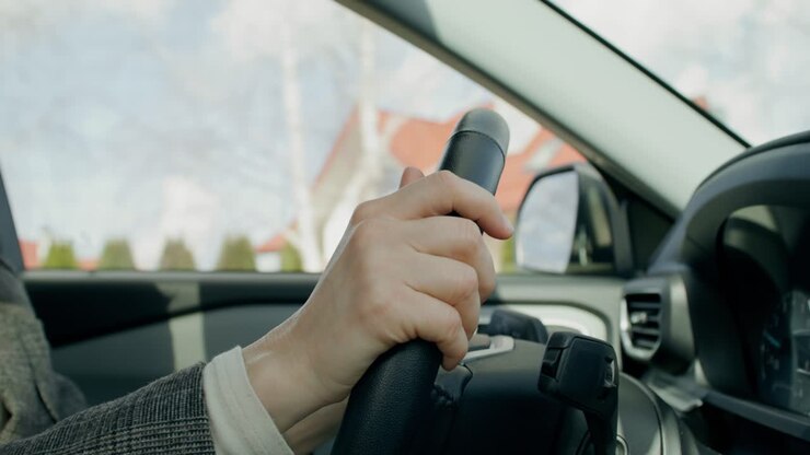 Persona alla Guida di un'Auto