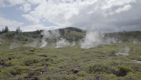 a wide shot of thermal activity coming from the ground at craters of the moon in taupo, nz