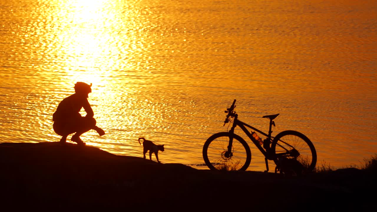 Silhouette of a cyclist two cats and a bike near the river at sunset. Golden path from the setting sun in the water and a man with cats outdoors.