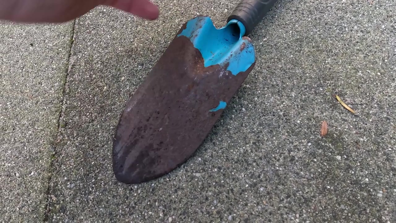 Small shovel for a garden.