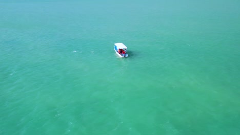 video aéreo de drones de un delfín nadando en una lancha rápida en aguas turquesas del golfo de méxico al atardecer