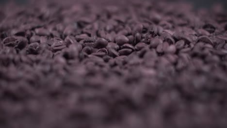 grano de café macro resumen video de caída