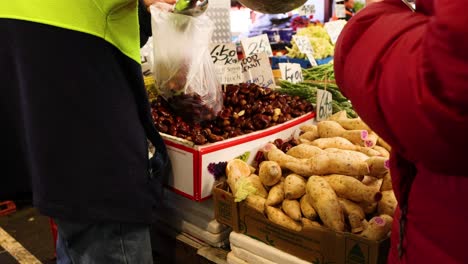 two people scooping chestnuts into a bag