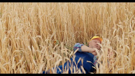 farmer using tablet in a wheat field