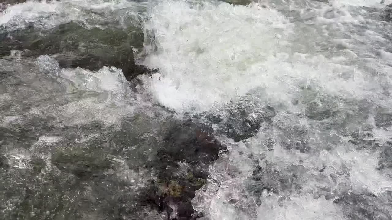 Fresh Waters of River Sindh, Boating Bliss, Forest Trails, Lush Meadows and Scenic Himalayan Landscapes