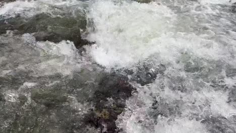 fresh waters of river sindh, boating bliss, forest trails, lush meadows and scenic himalayan landscapes