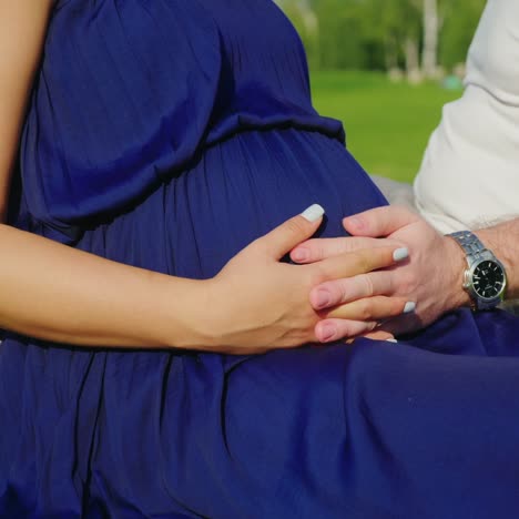 the husband holds his hands on the belly of his pregnant wife