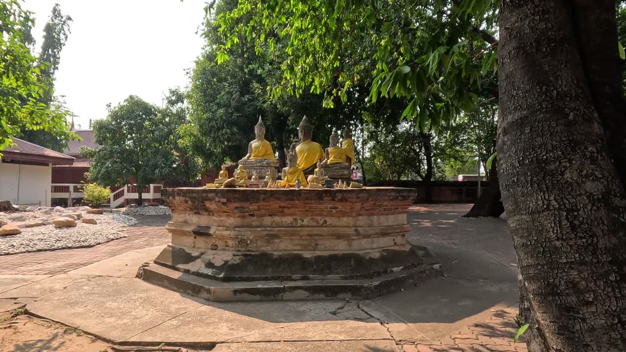 una vista panorámica alrededor de un árbol con estatuas de buda.