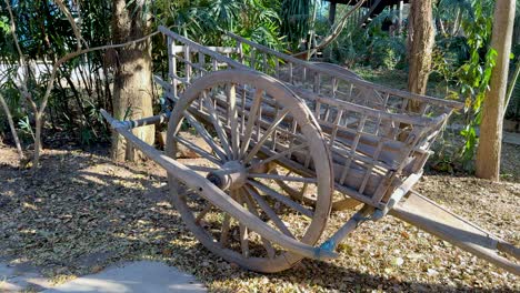 a wooden cart amidst lush greenery