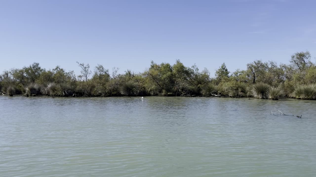 reserva natural en el sur de francia río con la naturaleza en el sol