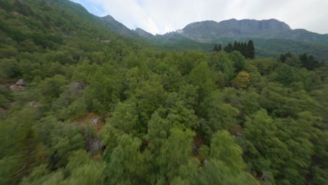 majestuoso bosque verde vibrante con alta cordillera en el fondo, fpv drone vuela sobre la vista
