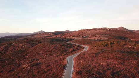 "rosas de la costa brava: el esplendor costero revelado