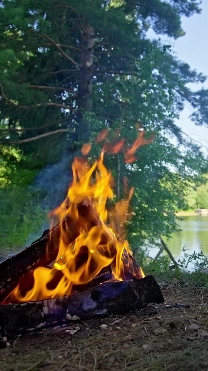 Fiamme luminose di falò e fumo presso un lago nel bosco