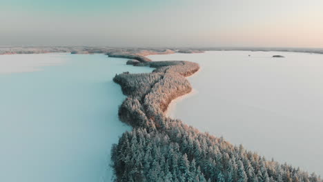 aerial, reverse, drone shot, panning above a lake cape, full of snowy trees and spruce forest, at sunset, surrounded by frozen saimaa, on a sunny, winter evening, in vuoniem, north karelia, finland