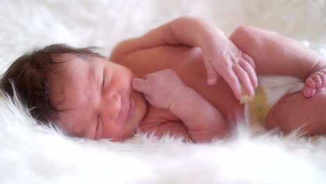 newborn baby girl.