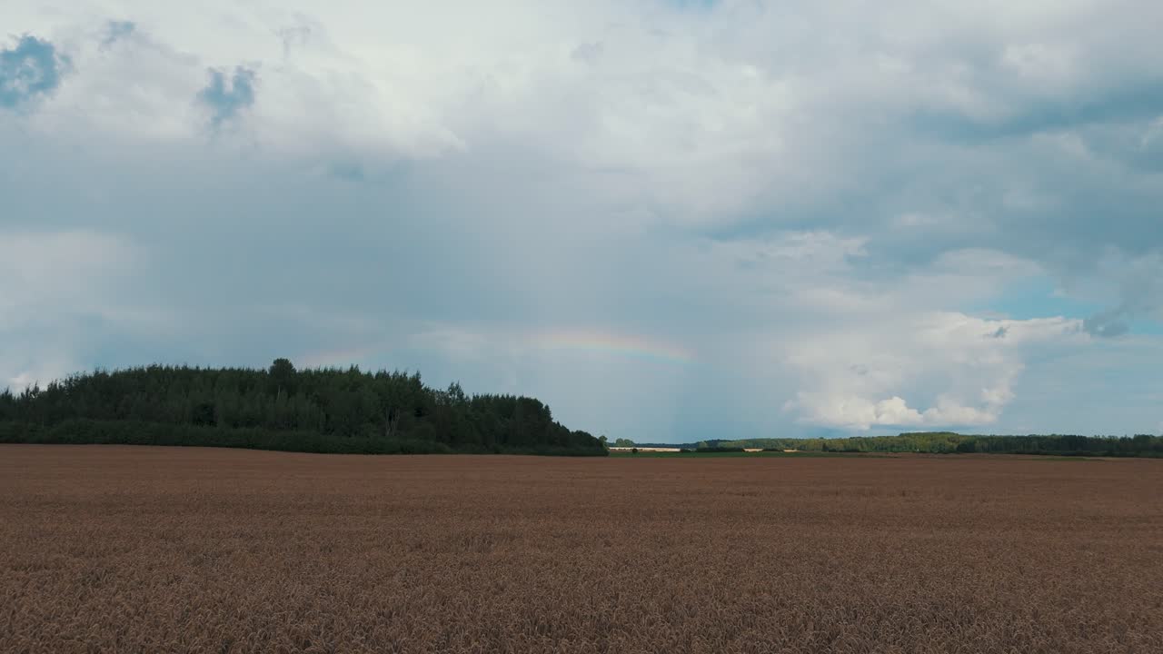el arco iris sobre el campo verde después de la tormenta con lluvia, durante el otoño, vista aérea bajo nubes pesadas antes de la tempestad