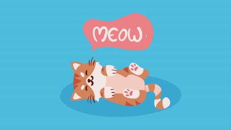 la animación de la mascota de un pequeño gato lindo