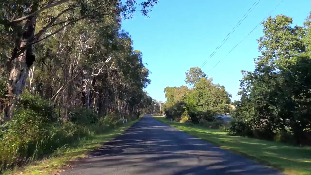 Guidando lungo una tranquilla strada di campagna circondata da alberi