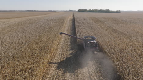 Cosechadora-Aérea,-Cosechando-Cultivos-De-Granos-De-Maíz-En-Un-Campo-Agrícola