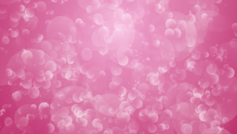 abstract loop animated background of pink bubbles on white. copy space.