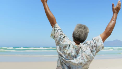 rear view of active senior african american man with arms up standing on the beach 4k