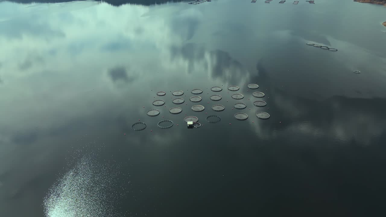 물에 있는 물고기 케이지를 가진 물고기 농장