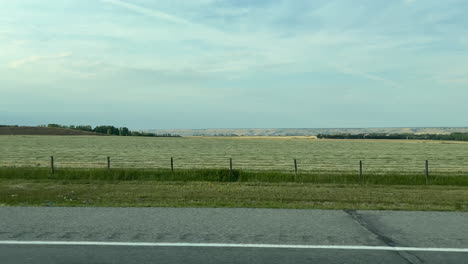 real time dolly left shot of landscape seen during car trip around banff, canada. passenger pov