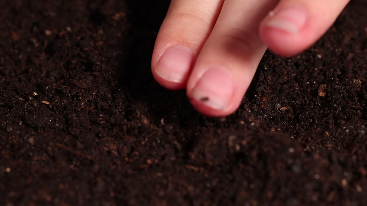 A hand plants seeds in dark, rich soil, followed by gentle watering, highlighting gardening and growth