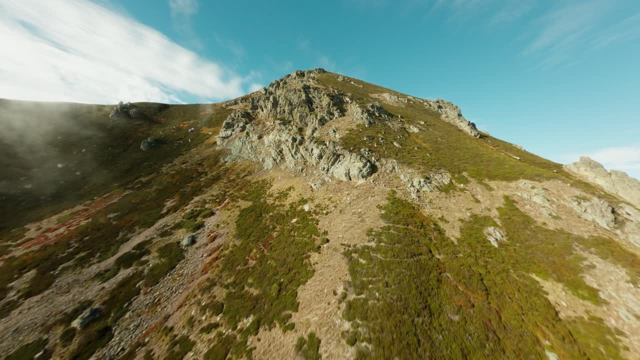 Aerial of El Gumial forest with fog and golden foliage
