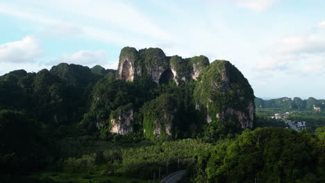 palmeras de aceite que crecen en un enorme acantilado de piedra caliza, sur de tailandia