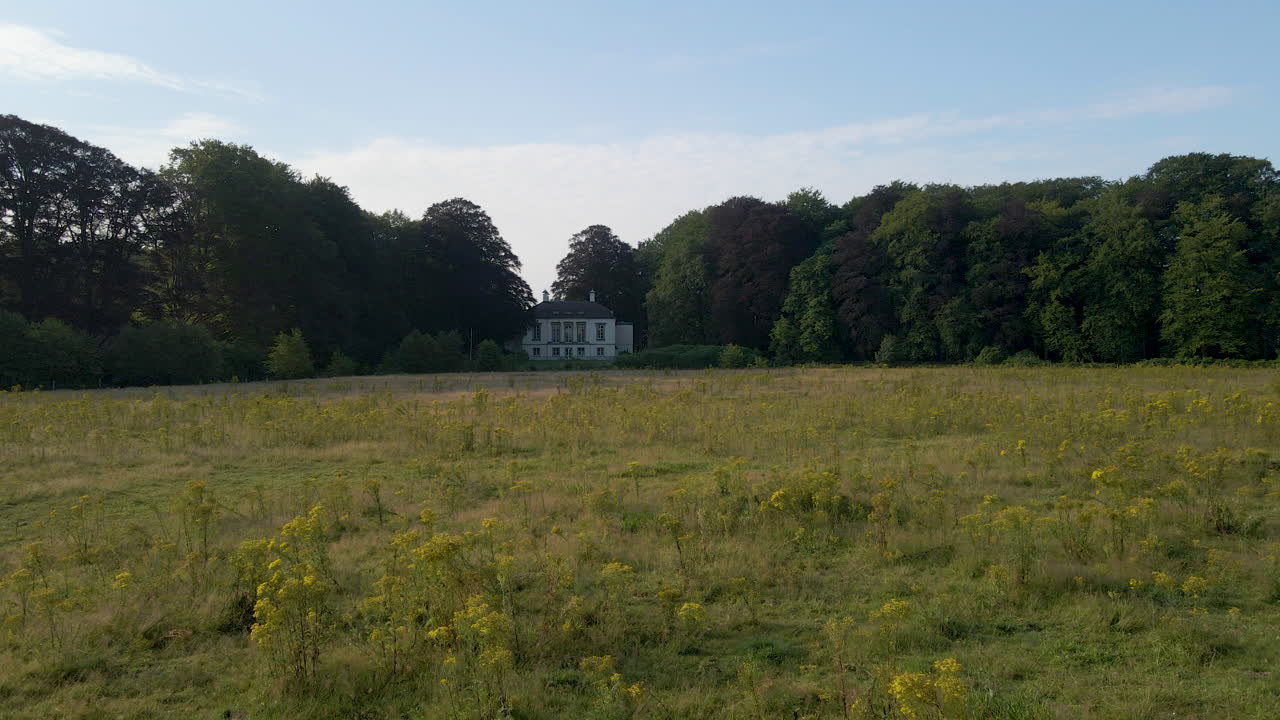 백그라운드에서 고전적인 저택을 향해 야생 민들레와 함께 들판 위로 낮게 날아갑니다.