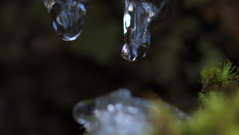 Makroaufnahme-Von-Wasser,-Das-Von-Zwei-Eiszapfen-Tropft