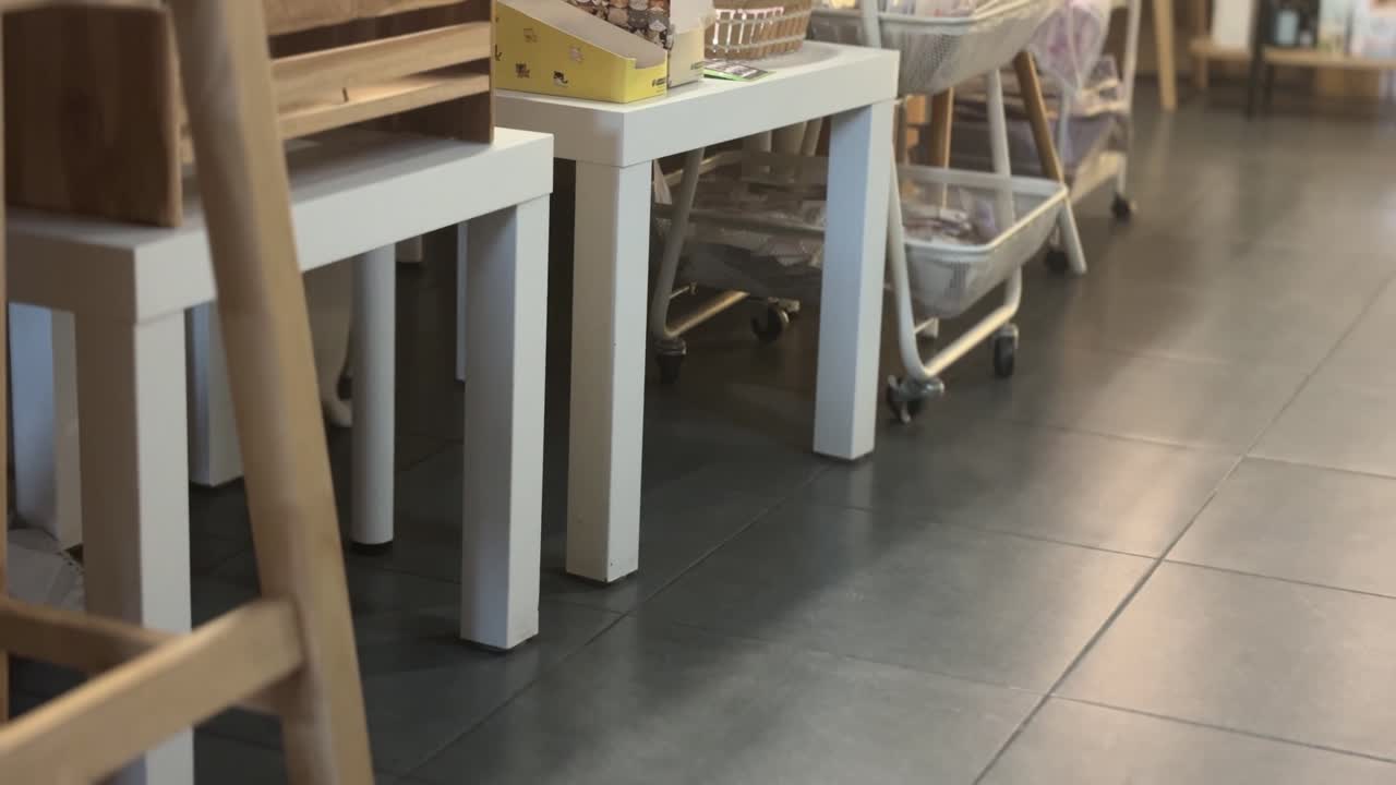 Gatto domestico giocoso che insegue un topo giocattolo sul pavimento di un negozio nella Città Vecchia di Phuket, Thailandia, con un'ambientazione interna, mobili in legno e una vivace attività di animali domestici in uno spazio commerciale accogliente.
