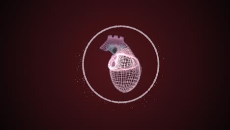 abstract heart model protected by shining particles circle on dark background.