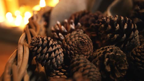 close-up of pine cone