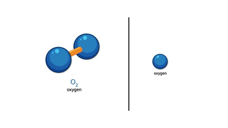 Animated oxygen molecule O2 rotates, then separates into individual oxygen atom with clear labeling