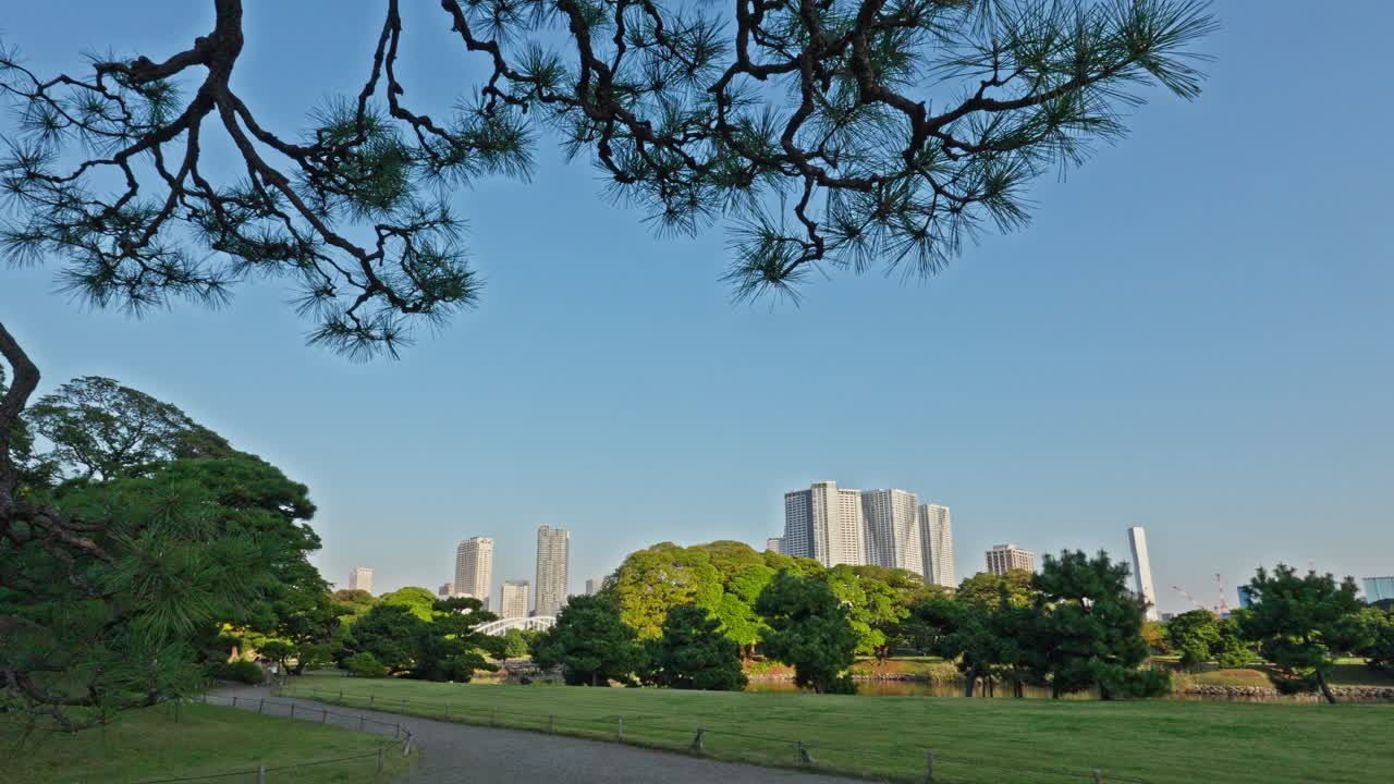 panoramic view of a lush green park in Hamarikyu Gardens, with Tokyo's modern skyline visible in the background under a clear blue sky.