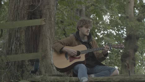 caucasian male musician playing - strumming guitar in woods, static