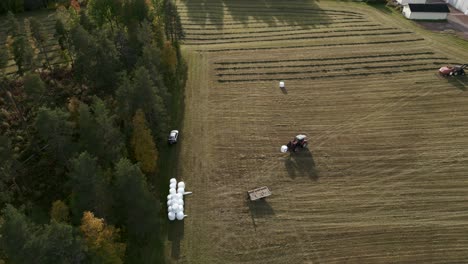 Tractor-Moviendo-Ensilaje-De-Heno-Y-Apilarlo-Encima-De-Los-Otros-Ensilajes