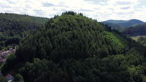 forest-covered hilltop with valley view