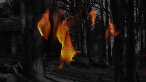 animation of fire flames over trees in forest
