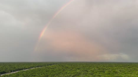 Beautiful rainbow over the dense Yucatan jungle