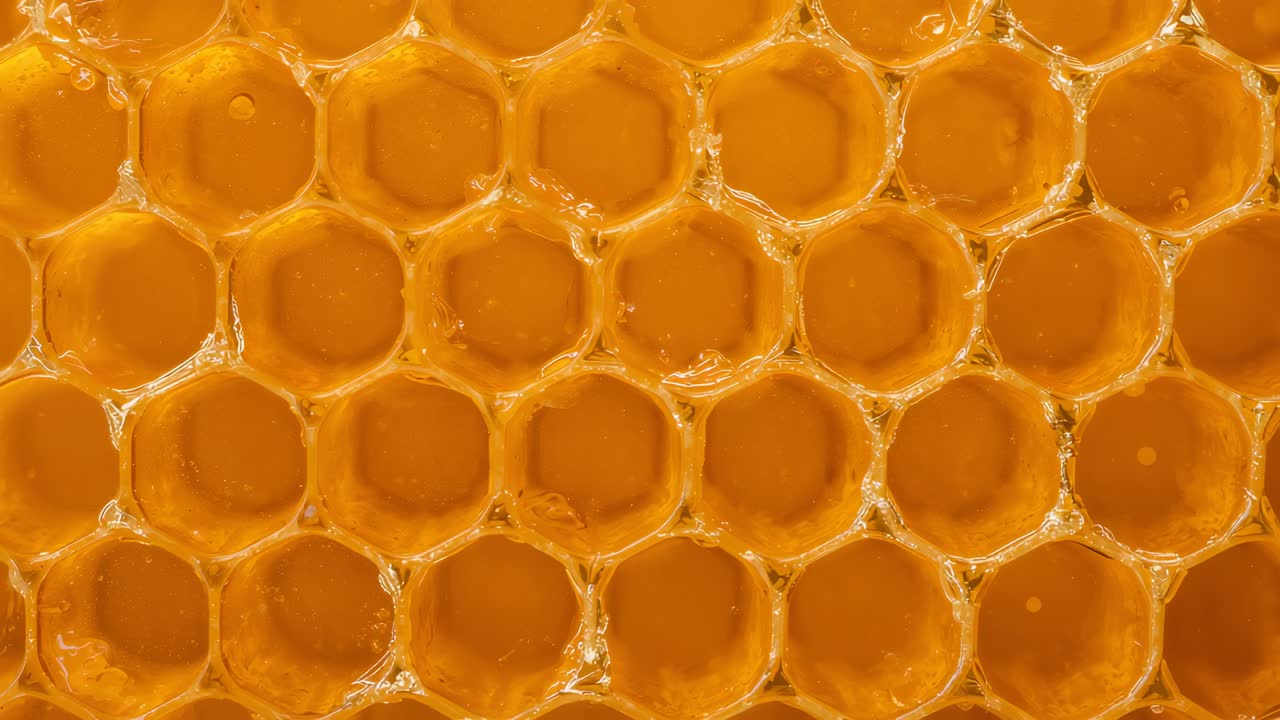 Favorevolezza del nido d'ape reagente allo spostamento dell'illuminazione sotto la macro, rivelando bolle di miele e creste di cera
