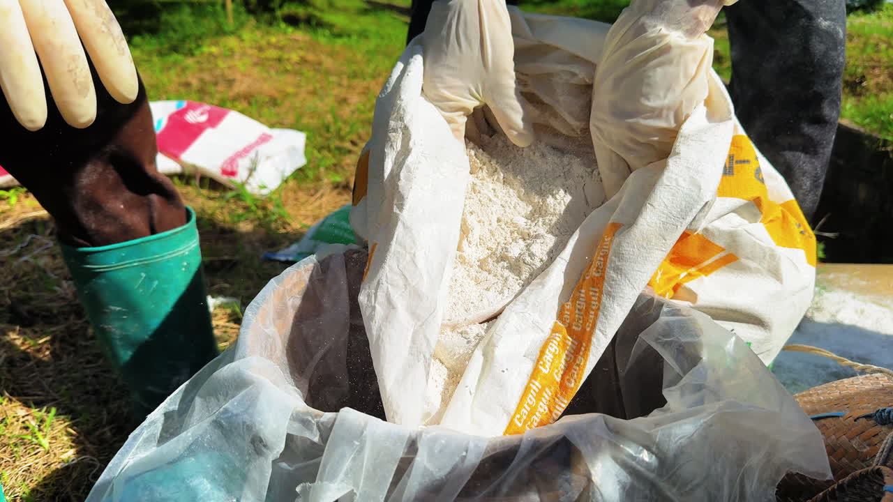 Moc Chau Vietnam farmers transferring agricultural lime powder from bag to basket using hand gloves for soil treatment after plum harvest