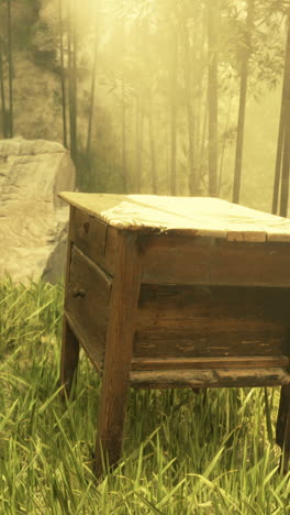 mesa de madera vintage en un bosque