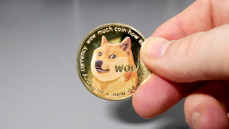 moneda dogecoin de oro sostenida entre los dedos en la mano en la mesa gey