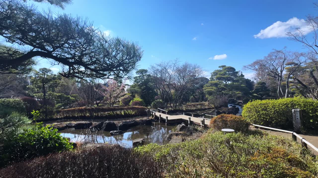 Peaceful Japanese garden in Tokyo, bridge over pond with calm blue sky